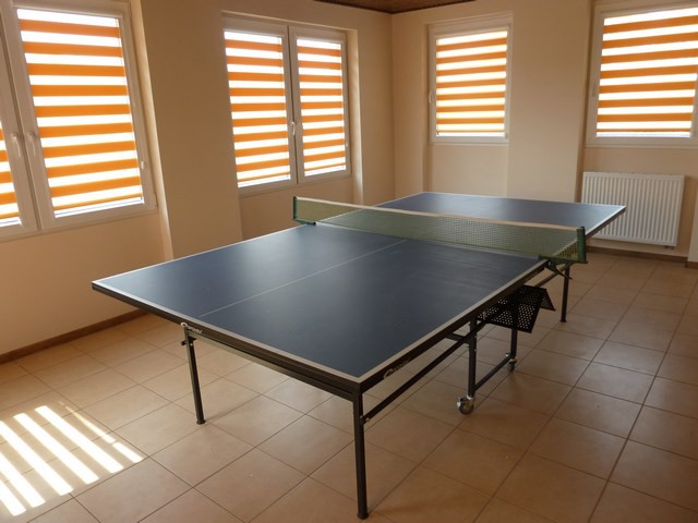 Tenis stołowy