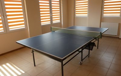 Tenis stołowy
